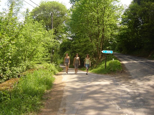 Een onverharde weg door het bos.