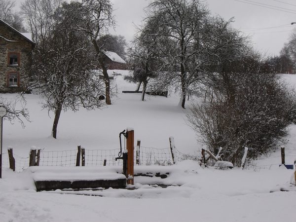De hoeve tussen kale bomen in de winter.