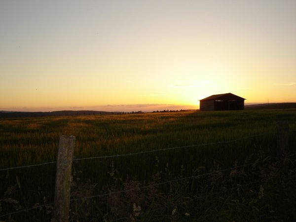 Avondlicht over een veld met een schuurtje.