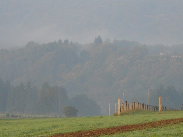 Mist tussen de heuvels.