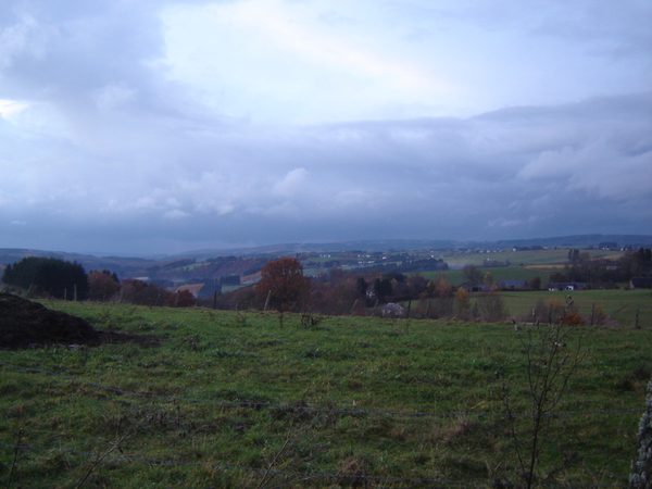Weiland onder een brede wolkenlucht.