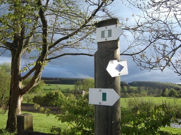 Knooppuntbord van de wandelroutes aan een boom.