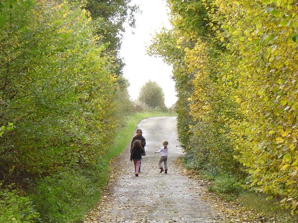 Twee wandelaars op een bospad in de herfst.