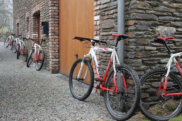 Mountainbikes tegen de natuurstenen muur, naast de houten garagepoort.